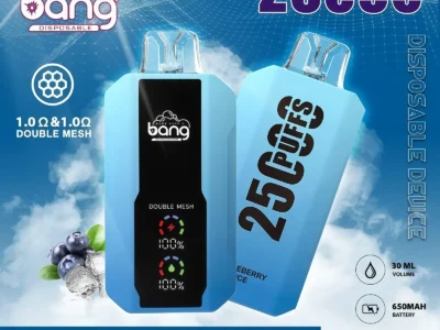 Bang 25000 Puff 可充電電子煙｜煙霧濃郁 | 視覺滿分|新世代爆煙神器