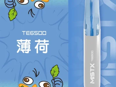 MISTX 鴨嘴獸 6500口 一次性電子煙｜耐抽不走味