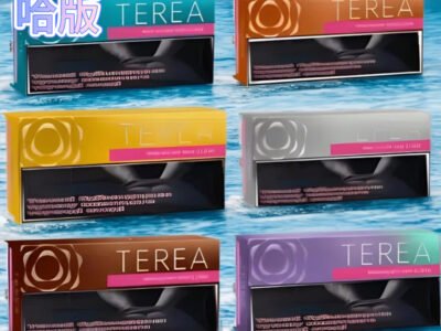 哈版 TEREA 煙彈｜ILUMA 主機相容 | 高還原風味推薦